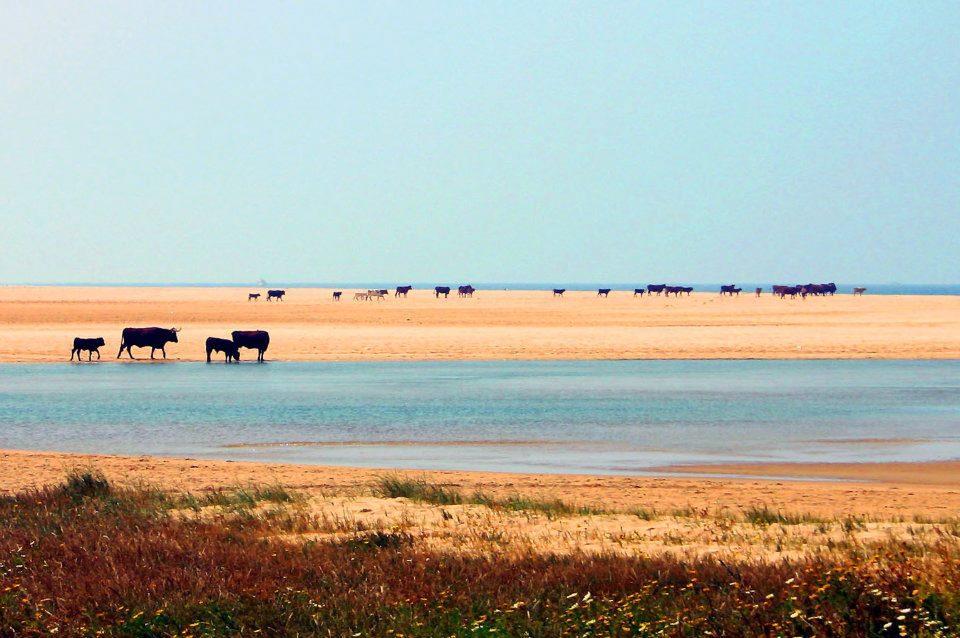 Ferreira Hostal Boutique Conil De La Frontera Dış mekan fotoğraf